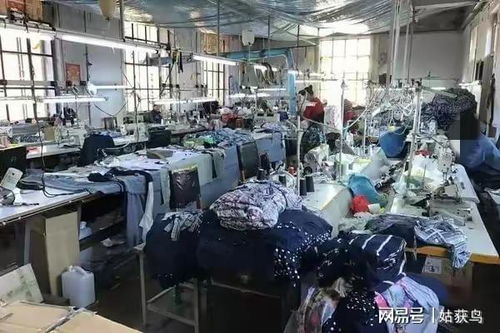 牡丹江一大型工廠二拍遇冷，1044.7萬(wàn)元無(wú)人問(wèn)津的背后